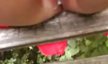 Pekerjaan video orang dewasa xxx Rim