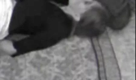 Saya kecil sexx dewasa celana dalam hampir apa-apa untuk menutupi