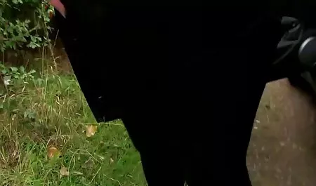 Aku vidio sex xxx dewasa benar-benar lelah bercinta anda